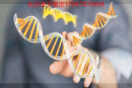 长沙亲子鉴定中心在哪里做